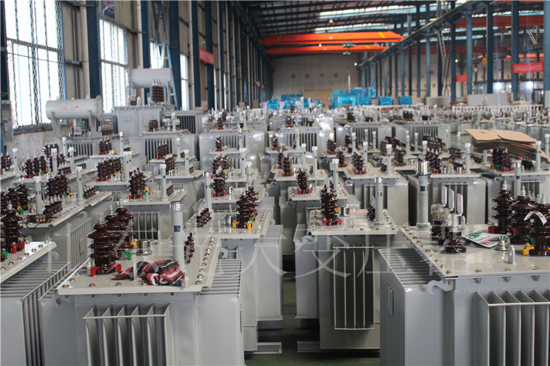 丰城S22-800KVA/10KV
